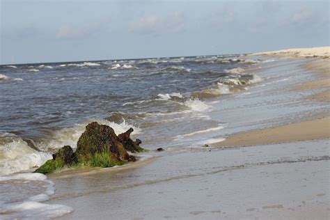 The beach at Fort Morgan, AL | Fort morgan, Outdoor, Beach