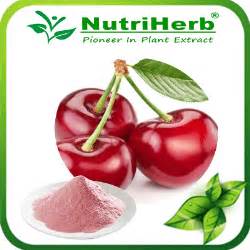 Acerola Powder | Cherry Fruit Powder Supplier