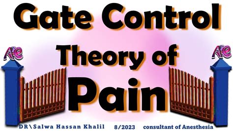 Gate Control Theory of Pain - YouTube