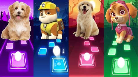 Tiles Hop | Cute Dog vs Rubble vs Cute Dog vs Skye | Tiles Hop EDM Rush | musicgame - YouTube