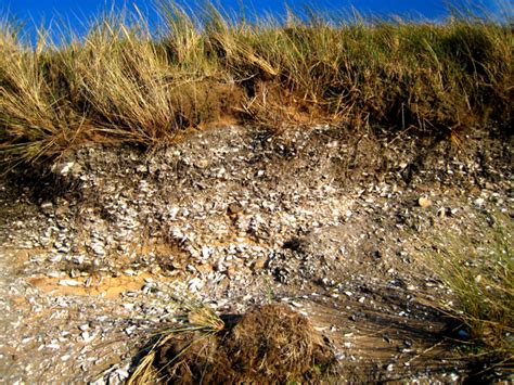 Newburgh: Mesolithic shell midden © Martyn Gorman :: Geograph Britain and Ireland