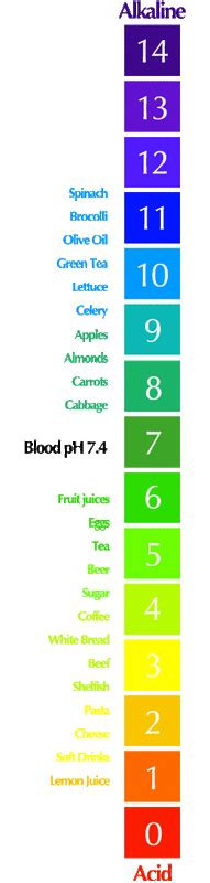 Acids - Physical Science