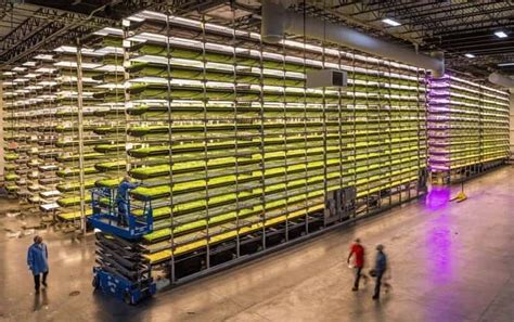 11 Indoor Farming Companies Taking Agriculture Indoors - Nanalyze