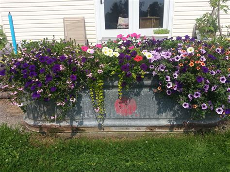 Container Gardening Old Water Trough planter (With images) | Garden troughs, Trough planters ...