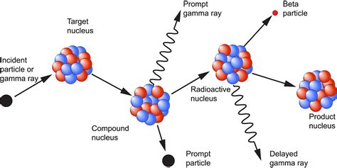 Neutron Activation Analysis