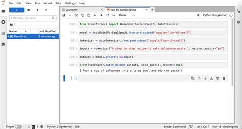 Running the Large Language Model FLAN-T5 locally | Niklas Heidloff