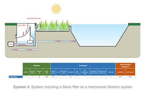 Pond filter media: finding the ideal solution for naturalized pools - Fluidra, perfect pool ...