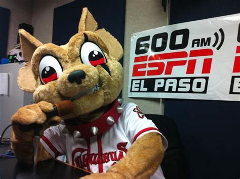 Meet Chico, The El Paso Chihuahuas New Mascot