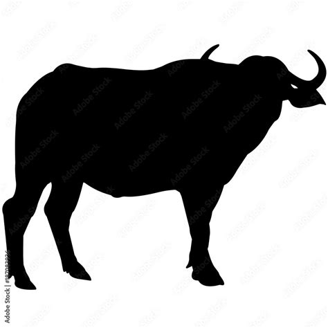 Water buffalo Silhouette Vector Graphics Stock Vector | Adobe Stock