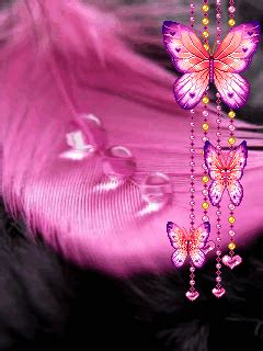 Gif Wallpaper Butterfly - NiCe