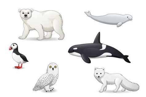 Alaska Animals Clipart For Kids