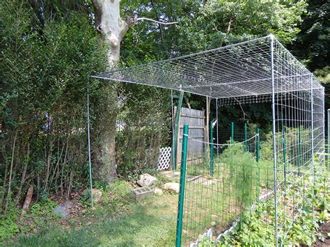 How to Build a Trellis with Pipe Fittings | Simplified Building