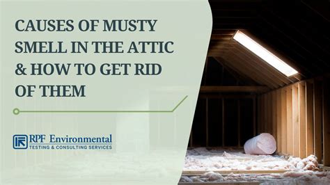 5 Causes of Musty Smell in the Attic & How to Get Rid of Them