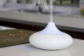 3 Best Home Air Freshener System Reviews 2020 - Breath Easy & Clean!