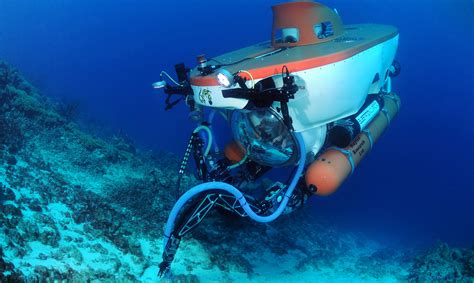 Under the sea | Smithsonian Tropical Research Institute