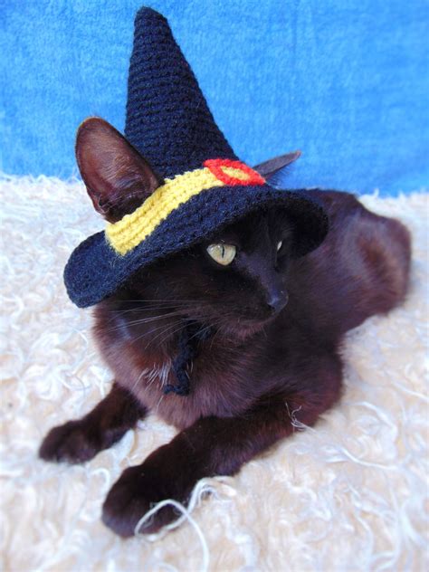 Witch Hat for Cat, Halloween Pet Costume, Crocheted Witch Hat for ...