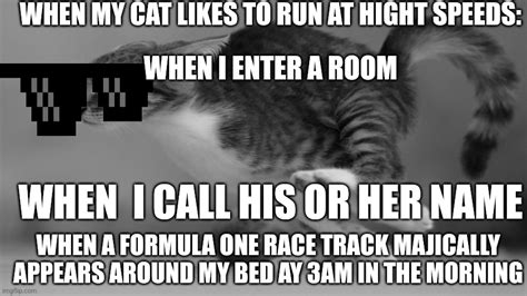 Fast running cat Memes - Imgflip