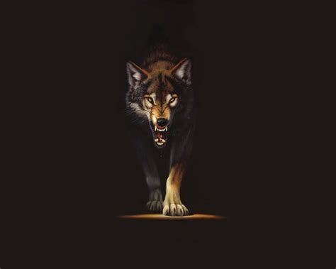 Angry Wolf Wallpapers HD - Wallpaper Cave