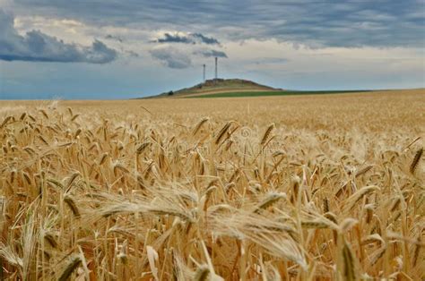 Landscape stock photo. Image of high, grain, dobruja - 32860746