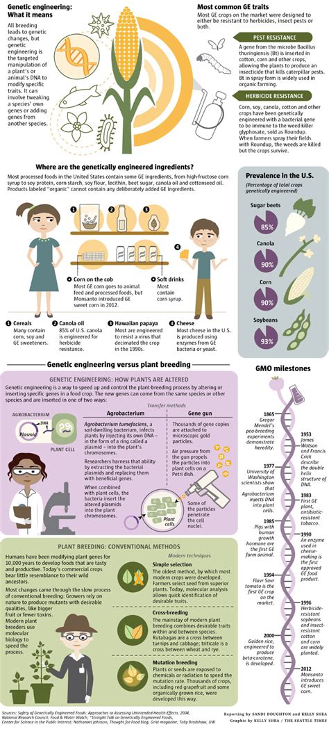 Pros and Cons of Genetic Engineering - HRF