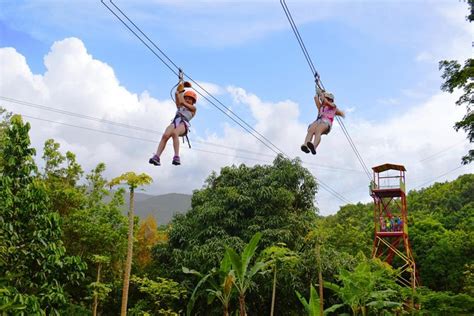 El Yunque Rainforest and Zipline Canopy Combo Tour 2024 - San Juan