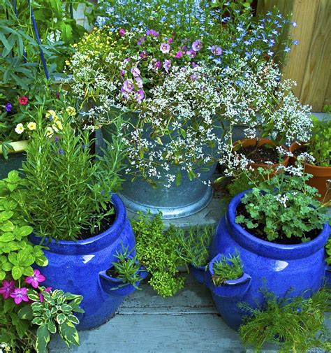 10 Container Garden Tips for Beginners | Container herb garden, Herb ...