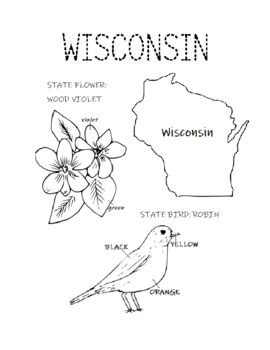 WISCONSIN COLORING PAGE - STATE BIRD AND STATE FLOWER by Interactive Printables