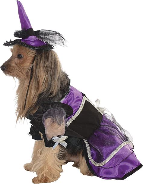 Amazon.com: dog witch costume