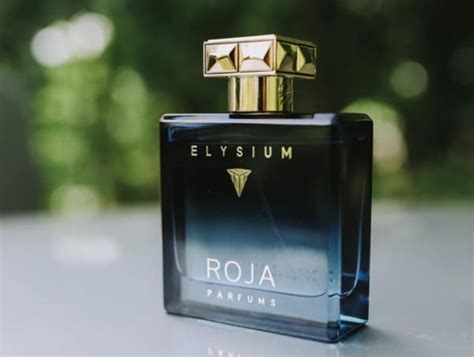 Roja Elysium Parfum Cologne - Review In 2022