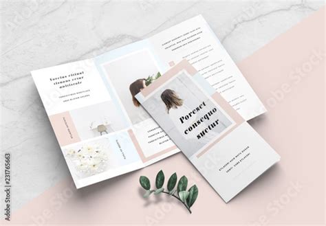 Minimalist Brochure Layout Stock Template | Adobe Stock