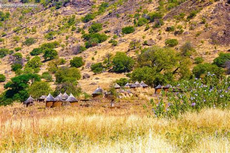 West Nuba mountains, South Kordofan غرب جبال النوبة، جنوب كردفان #السودان (By Rita Willaert) # ...