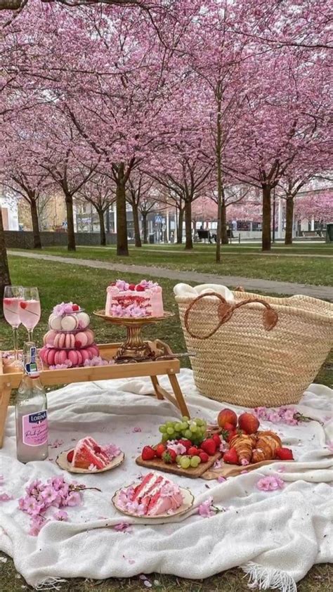 Fancy picnic inspo | romantic picnic | picnic date ideas | fancy picnic aesthetic, rich picnic ...