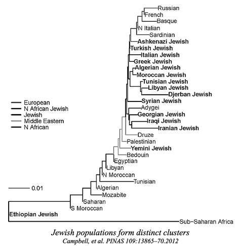 The Genetic Origins of Ashkenazi Jews