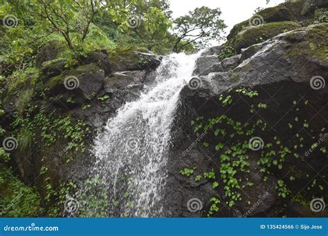 Waterfalls stock photo. Image of rock, ghat, waterfalls - 135424566