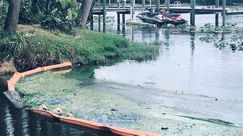 Health advisory issued for blue-green algae bloom in Lake Okeechobee