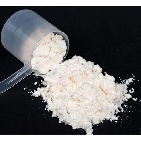 Egg Protein Powder Manufacturer,Supplier,Exporter