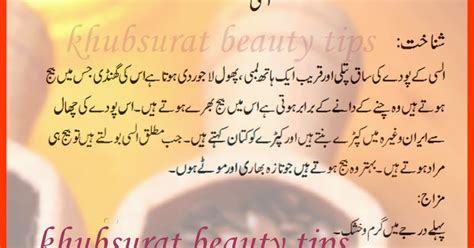 Khubsurat Beauty Tips: Alsi ( linseed) benefits in urdu