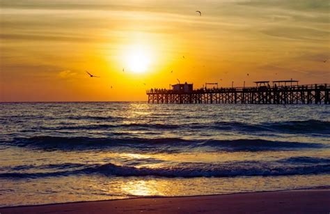 7 Best West Central Florida Beaches With the Most to Do This Summer ...