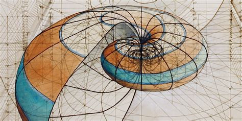 Rafael Araujo Draws Perfect Illustrations by Hand Using Math's Golden Ratio | Inverse