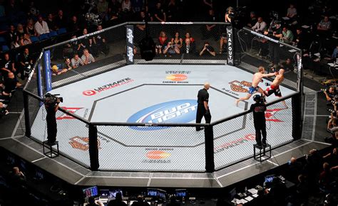 PRO MMA 30' X 30' Official Octagon MMA Cage Complete - PRO FIGHT SHOP