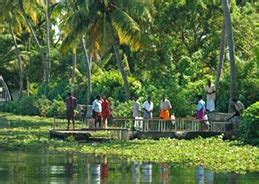 Kerala Backwaters Tour, Kerala India Backwater Tour, Kerala Backwaters ...