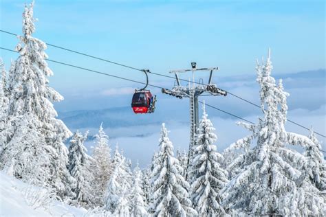 Introduction to FMEA on a Ski Resort Gondola Lift - SigmaZone