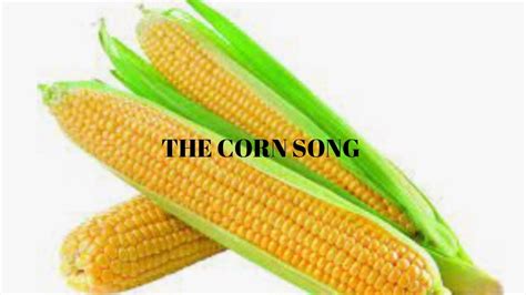 THE CORN SONG - YouTube