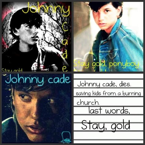 Johnny Cade Quotes. QuotesGram