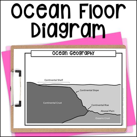 Ocean Floor Diagram | Made By Teachers