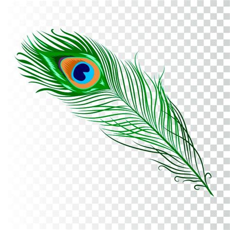 Peacock Feather Icon at Vectorified.com | Collection of Peacock Feather ...