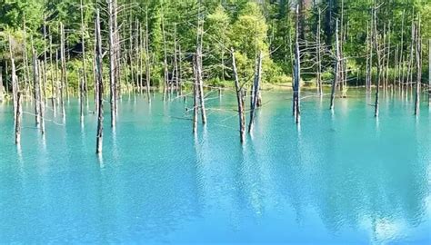 Blue Pond In Hokkaido | A Mystical Yet Beautiful Pond - Red Outer Space