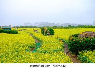 11,377 Jeju Island Spring Images, Stock Photos & Vectors | Shutterstock