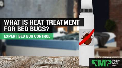 What is Heat Treatment for Bed Bugs? - Project Multi Pest