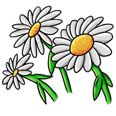 Daisy Line Drawing | Free download on ClipArtMag